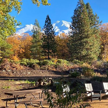 Basecamp Lodge Маунт-Шаста Екстер'єр фото
