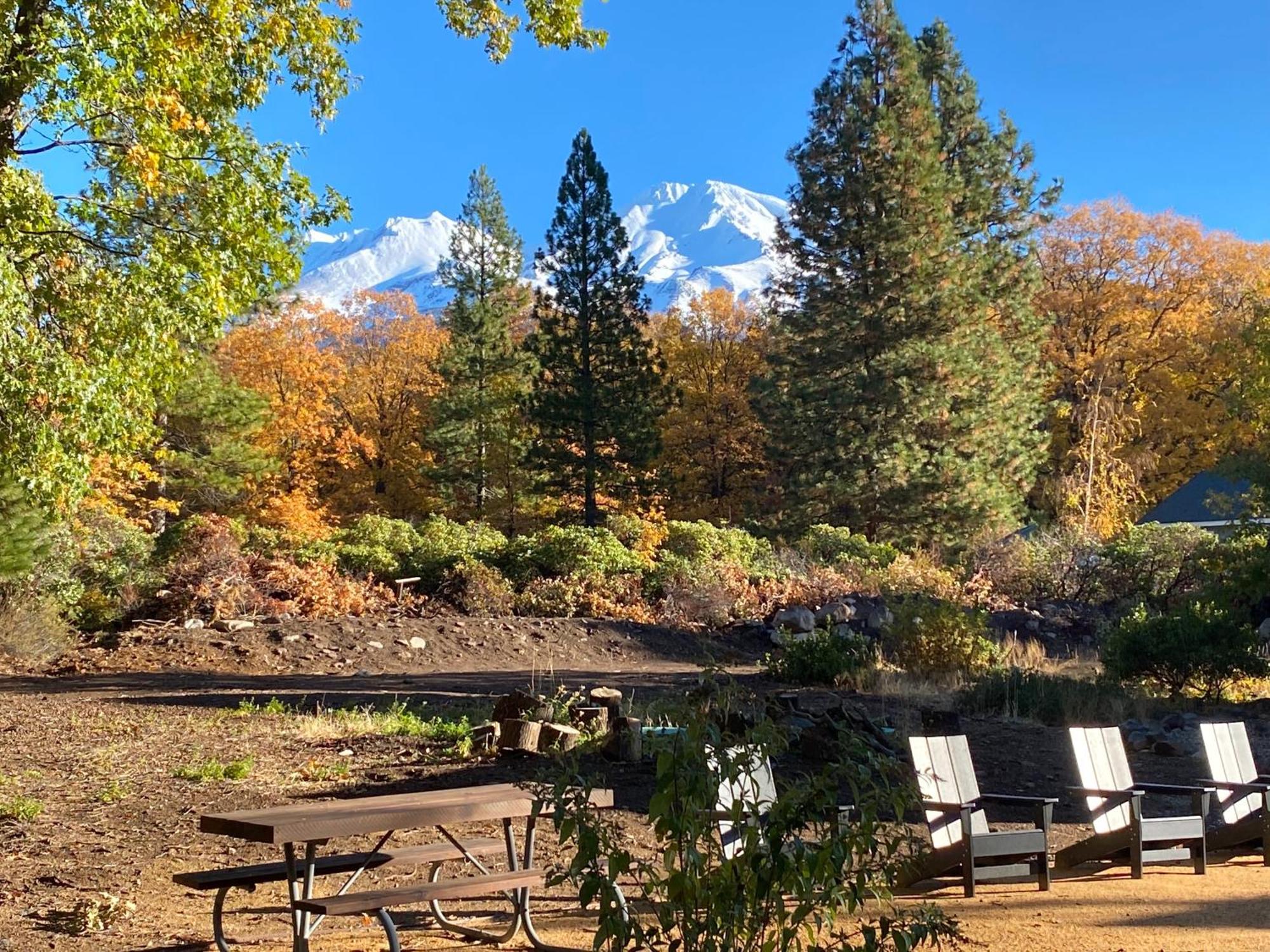 Basecamp Lodge Маунт-Шаста Екстер'єр фото